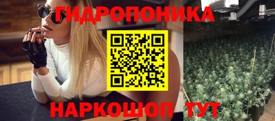 мяу мяу мука Лесосибирск