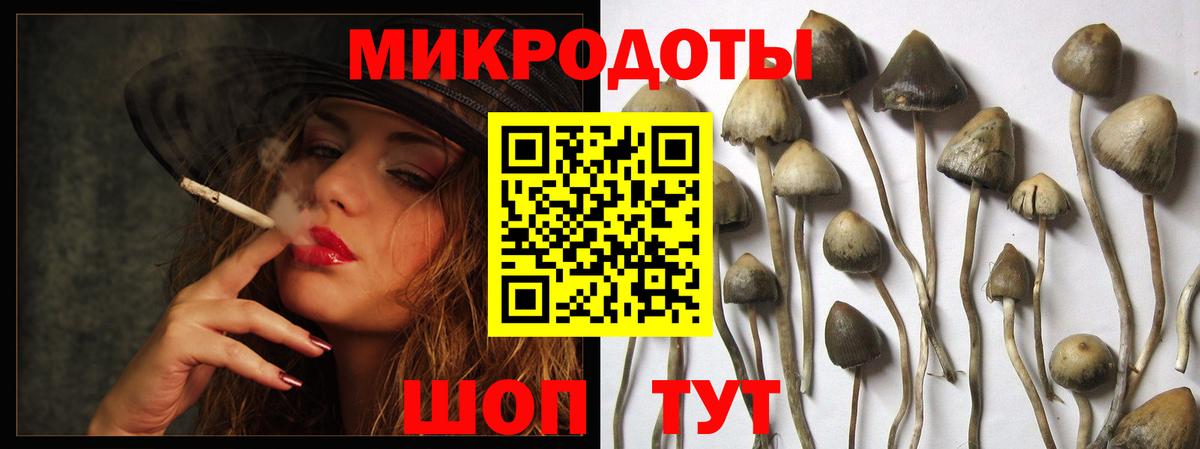 Галлюциногенные грибы Psilocybine cubensis  Вход с VPN  Видное 