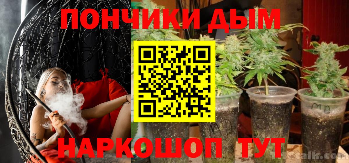 Бошки марихуана конопля Видное